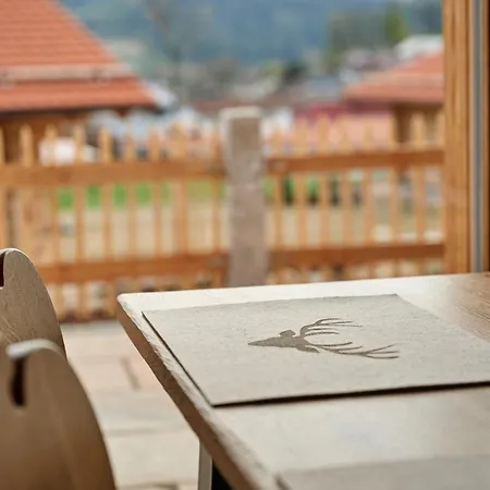 Lederer بودنمايس